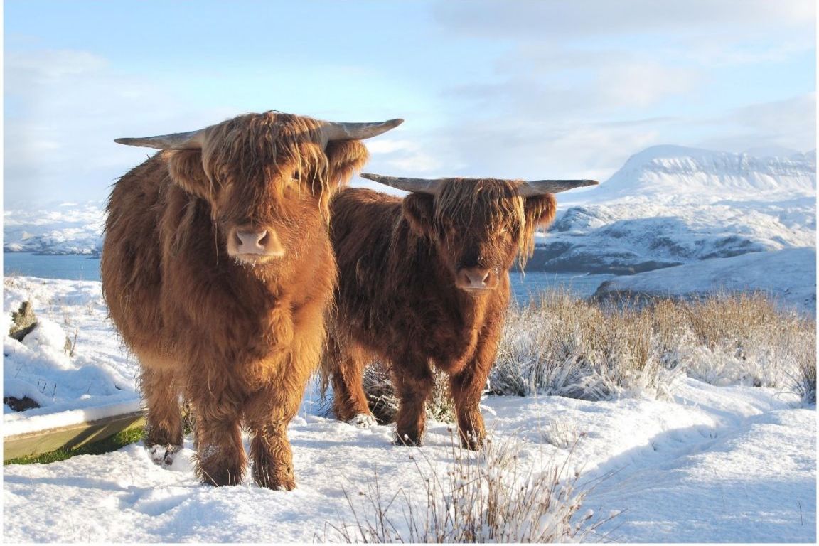 10 Reasons to Visit Scotland in Winter - Glasgow City Flats