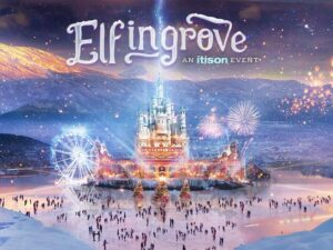 Elfingrove Ice Skating